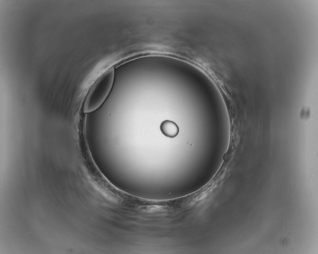 X0000091920151200709051447