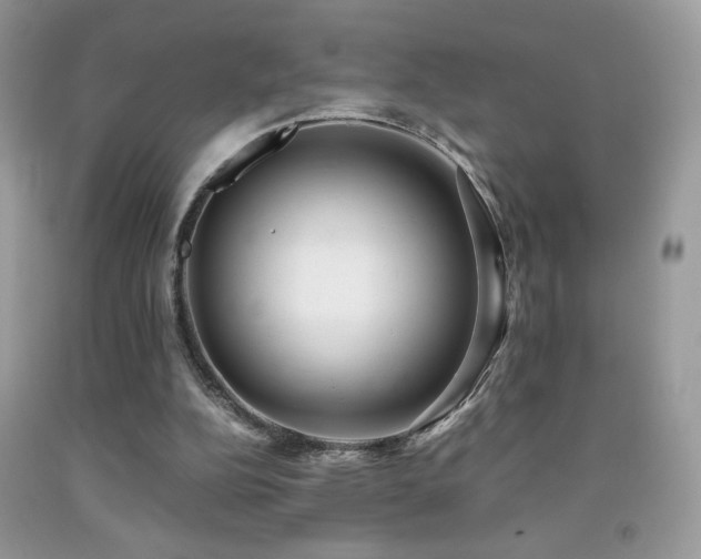 X0000091920152200709051447