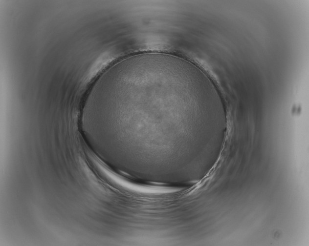 X0000091920154200709051448