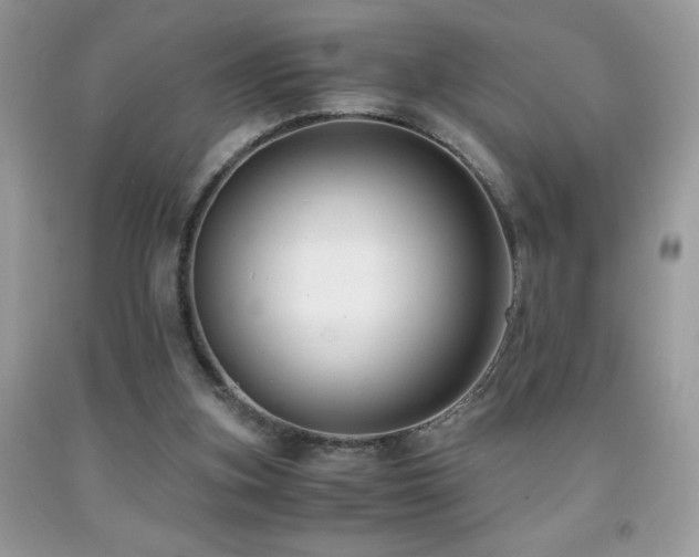 X0000091920155200709051448