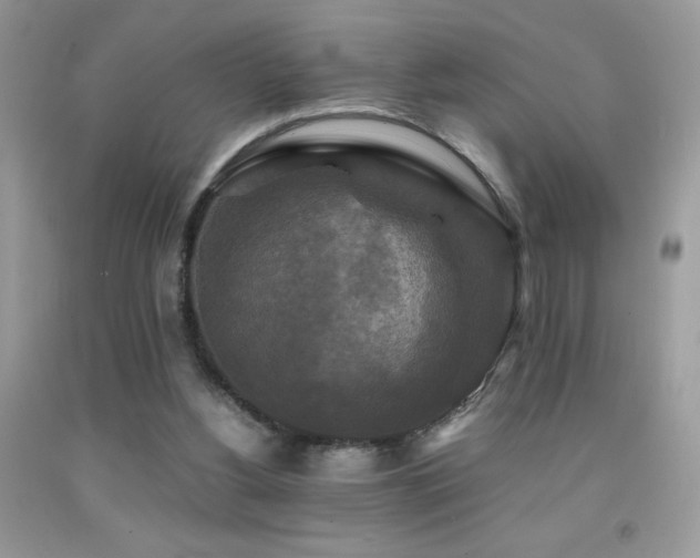 X0000091920156200709051448