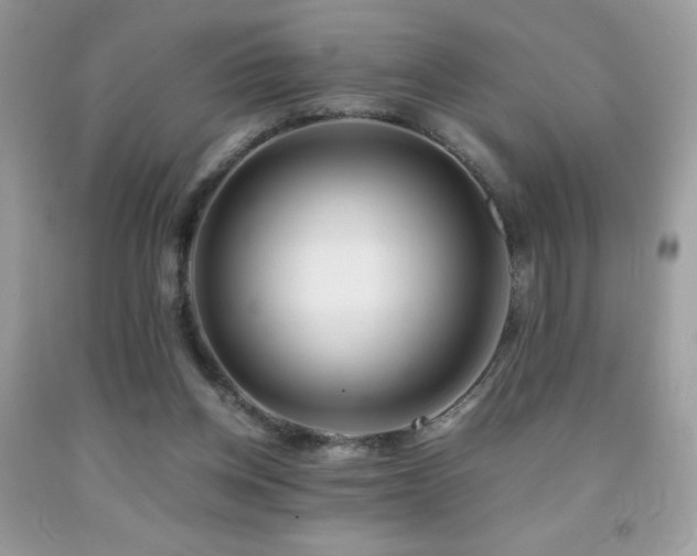 X0000091920158200709051448