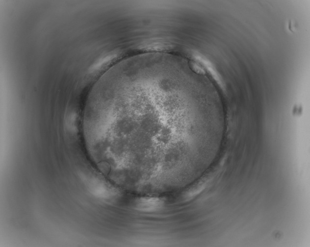 X0000091920161200709051448