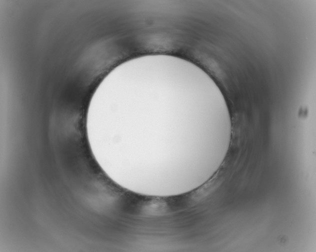 X0000091920162200709051448