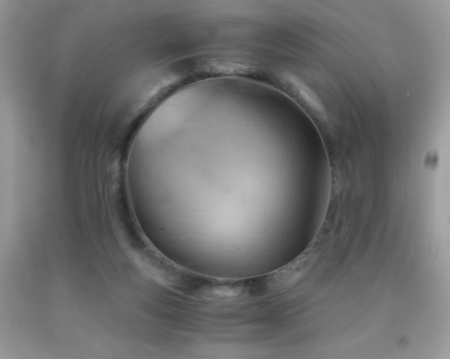 X0000091920163200709051448