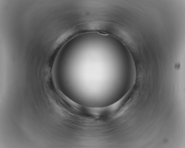 X0000091920164200709051448