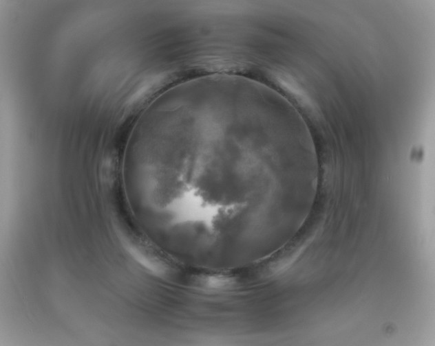 X0000091920165200709051448