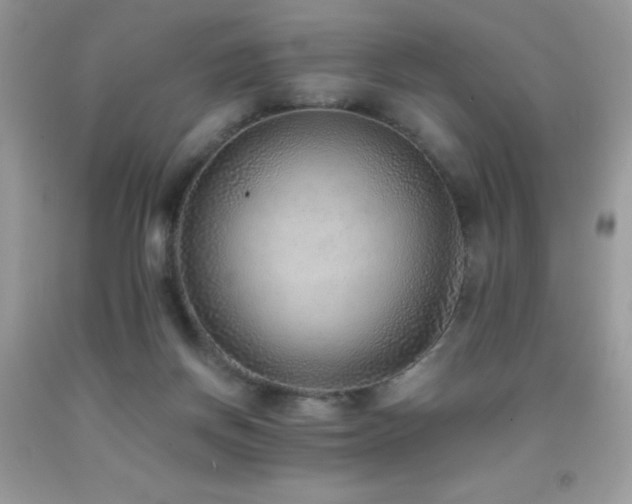 X0000091920166200709051448