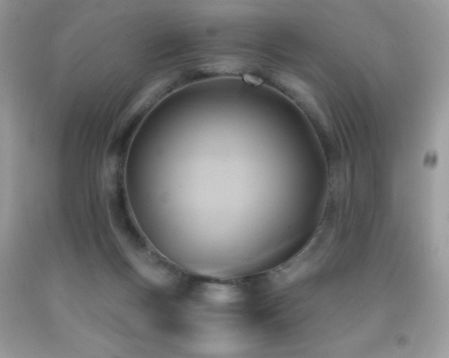 X0000091920167200709051448