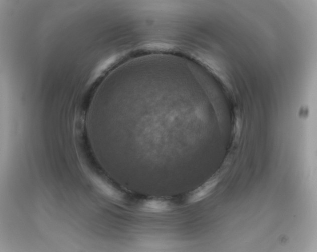 X0000091920168200709051448