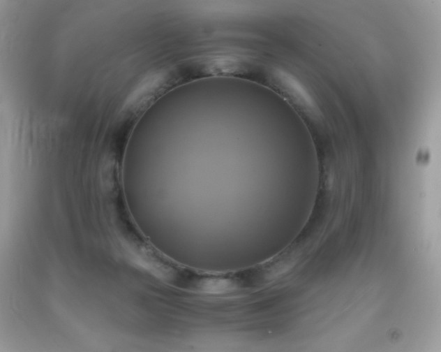 X0000091920169200709051448