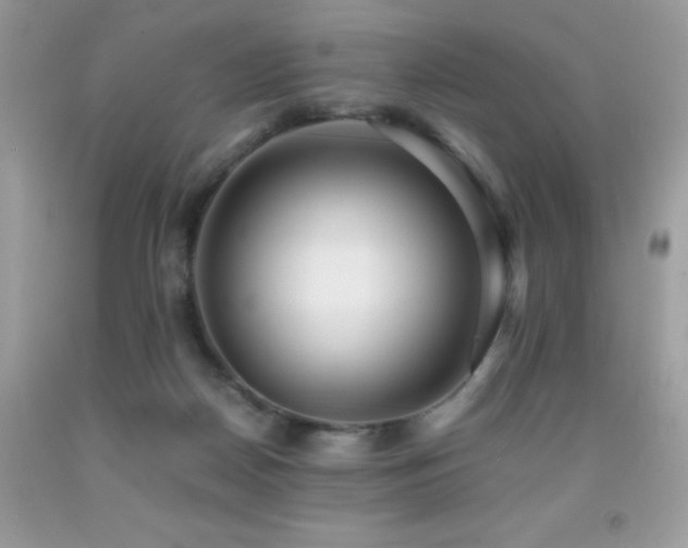 X0000091920170200709051448
