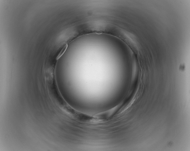X0000091920172200709051448