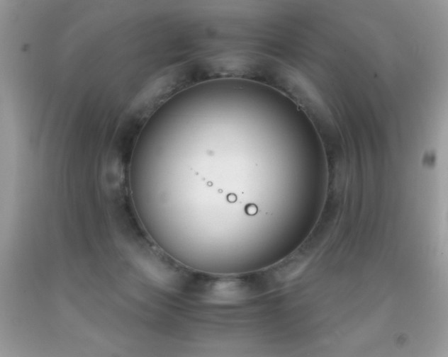 X0000091920173200709051448
