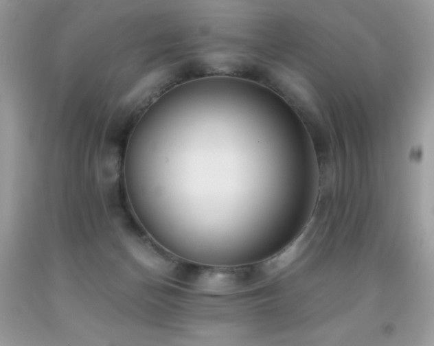 X0000091920174200709051448