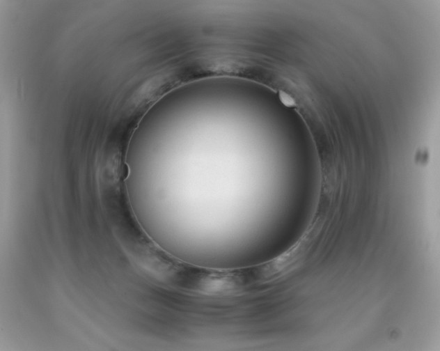 X0000091920175200709051448