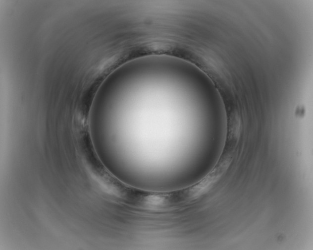 X0000091920176200709051448