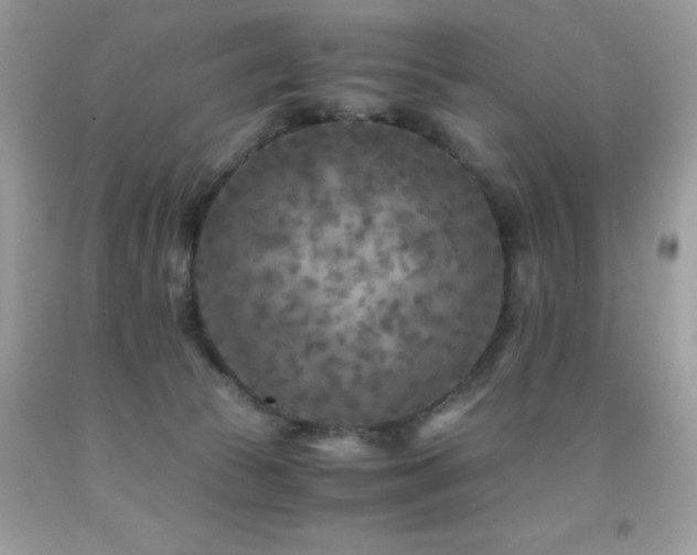 X0000091920177200709051448