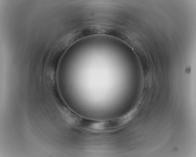 X0000091920178200709051448