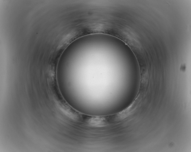 X0000091920179200709051448