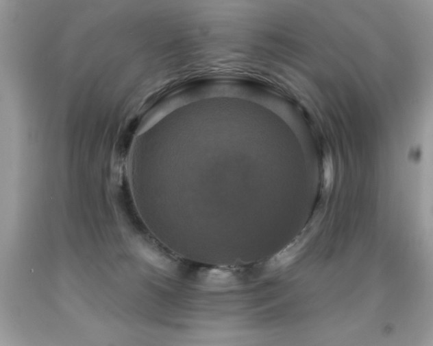 X0000091920180200709051448