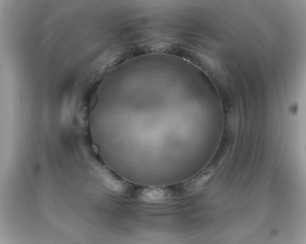X0000091920181200709051448