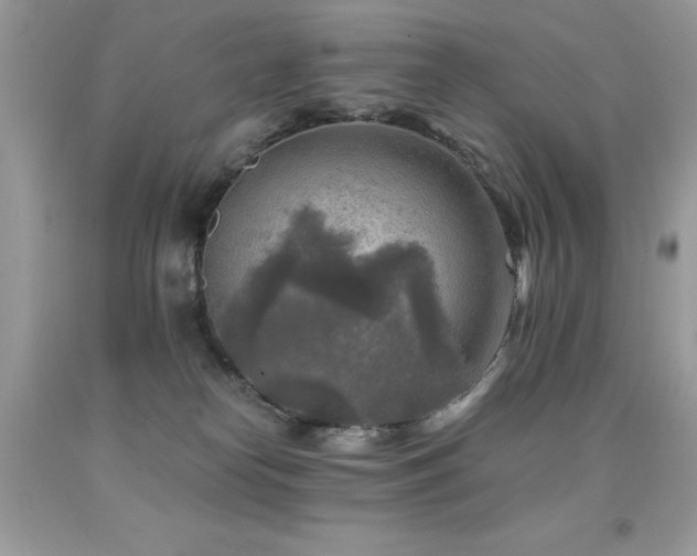X0000091920182200709051448