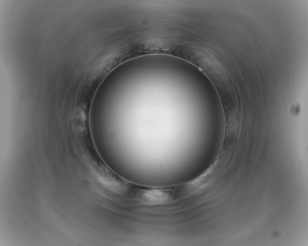 X0000091920183200709051448