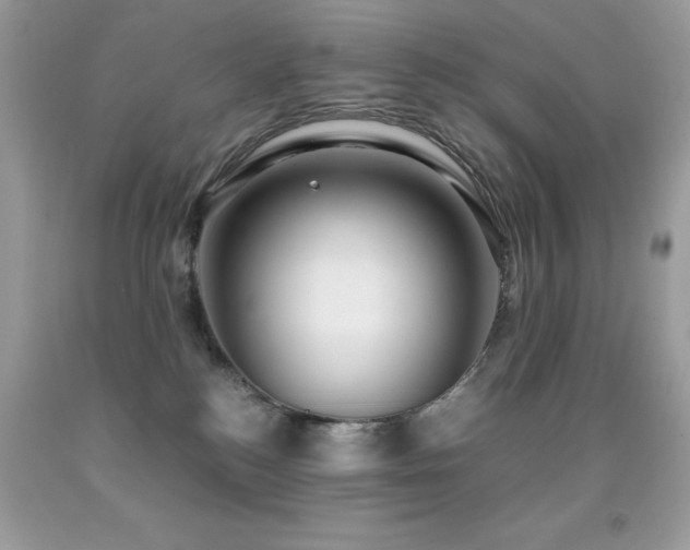 X0000091920184200709051448