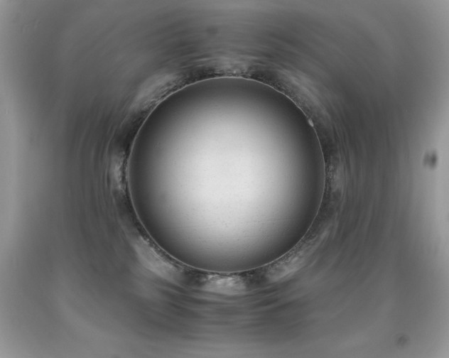 X0000091920185200709051448