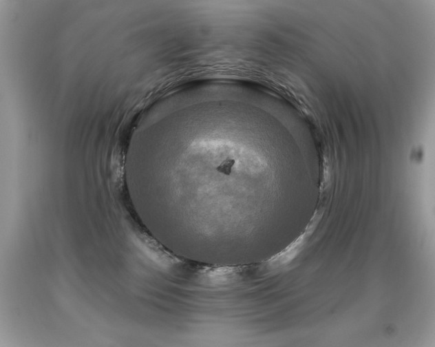 X0000091920186200709051448