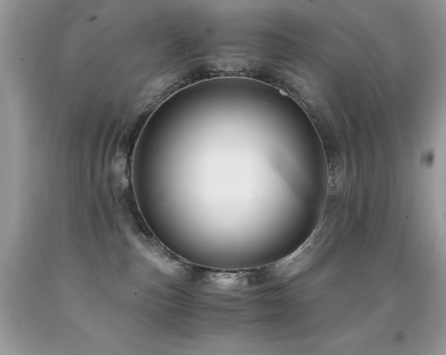 X0000091920187200709051448