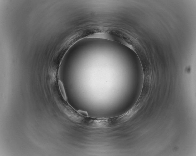 X0000091920188200709051448