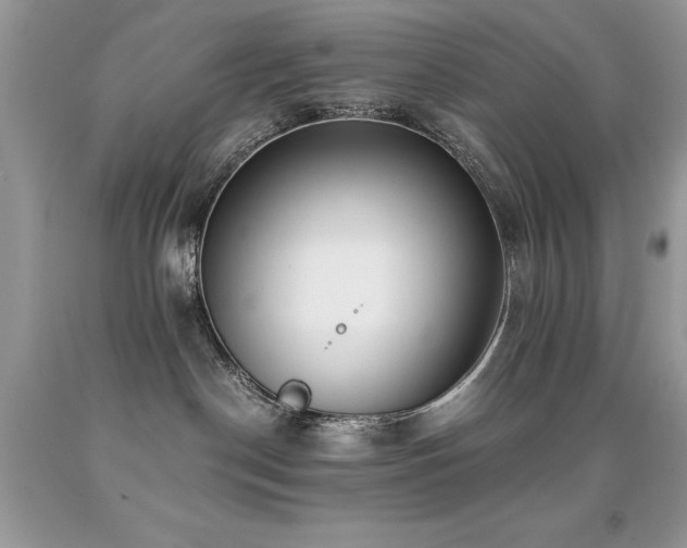X0000091920190200709051448