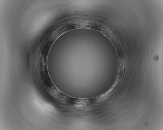 X0000091920191200709051448