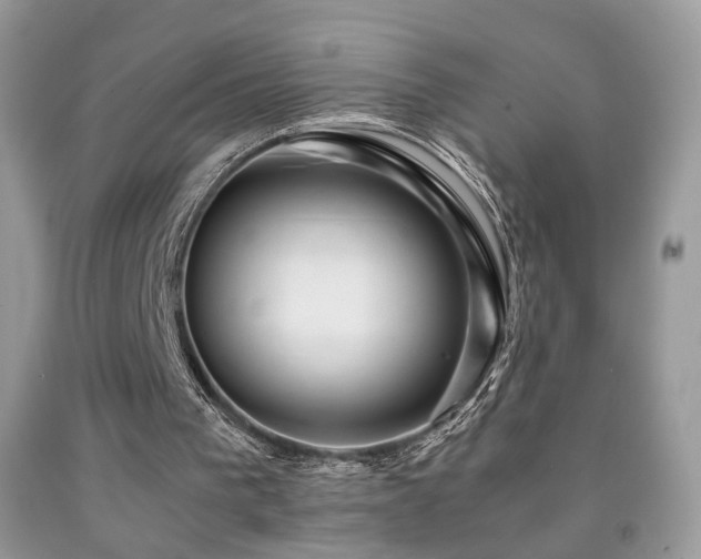 X0000091920193200709051447