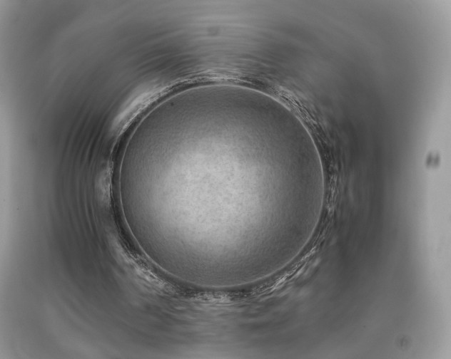 X0000091920194200709051447