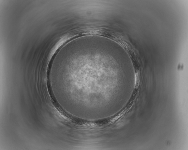 X0000091920195200709051447