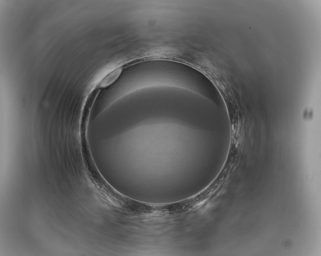 X0000091920196200709051447