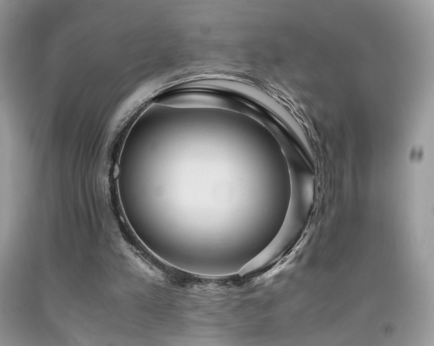 X0000091920197200709051447