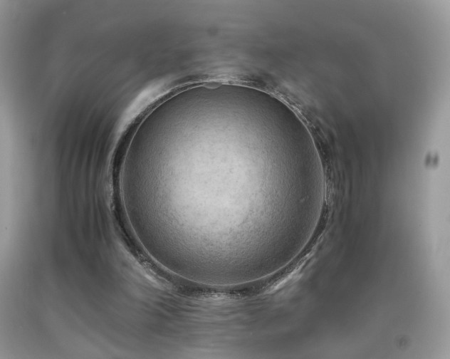 X0000091920198200709051447
