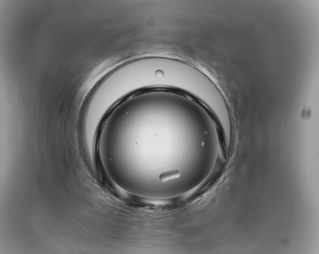 X0000091920199200709051447