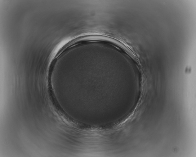 X0000091920200200709051447