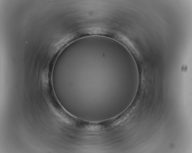 X0000091920202200709051447