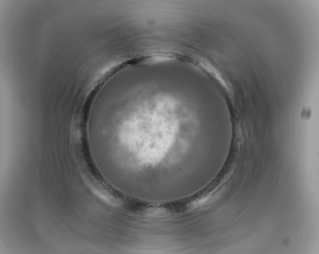 X0000091920203200709051447