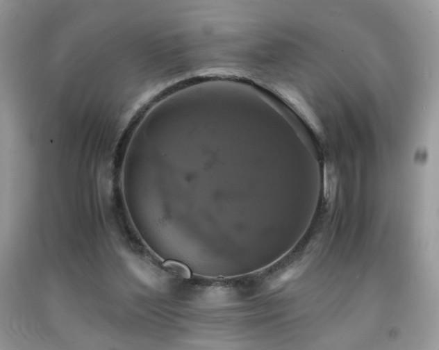X0000091920204200709051447