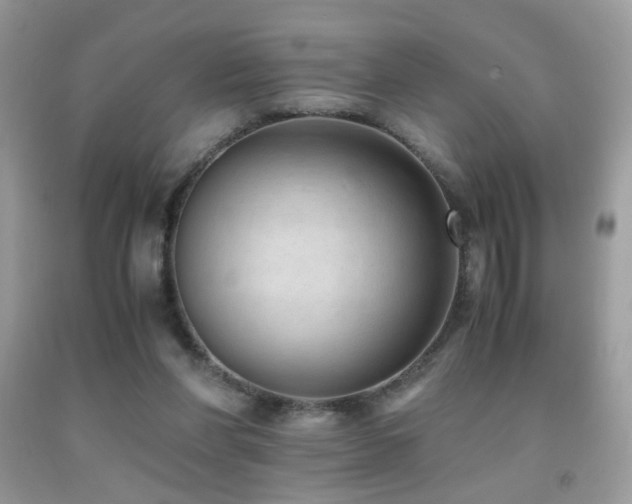 X0000091920206200709051447