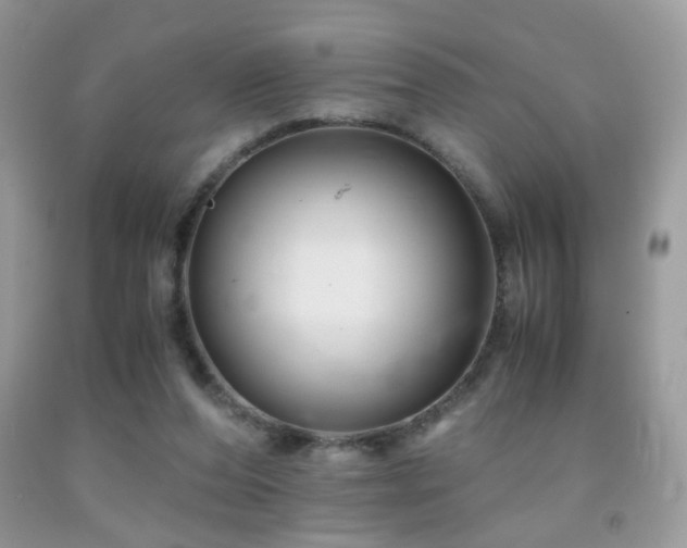 X0000091920208200709051447