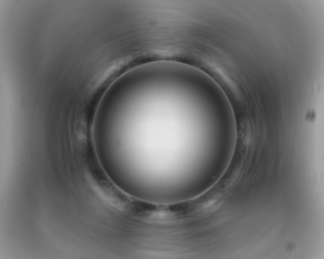 X0000091920212200709051447