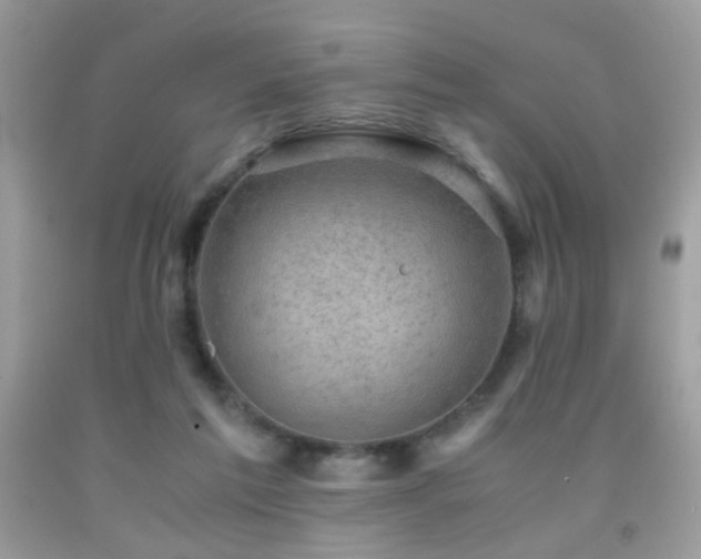 X0000091920213200709051447